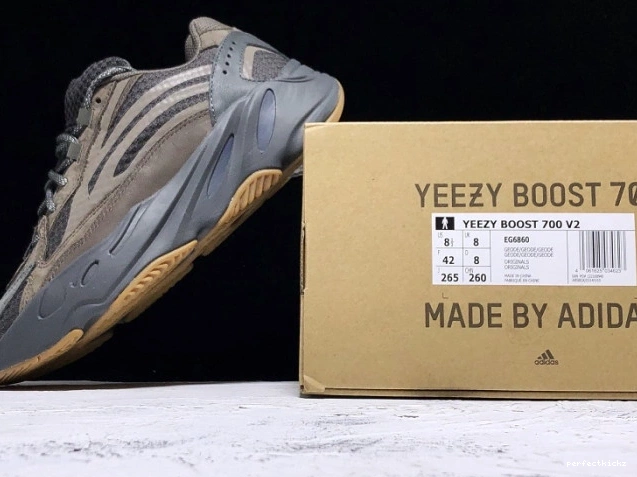 EG6860 v2 700 Geode Boost Yeezy Adidas 0707